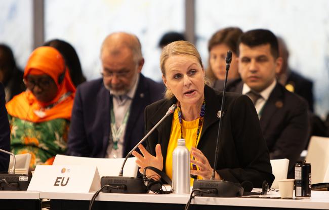 EU-Urgent Action for Implementation - 29 Oct 2024