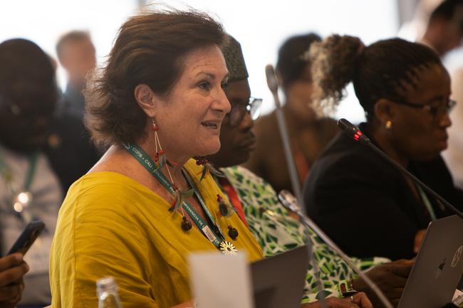 Edda Fernandez, CBD Women's Caucus -Urgent Action for Implementation - 29 Oct 2024.jpg - Urgent Action for Implementation- 29Oct2024