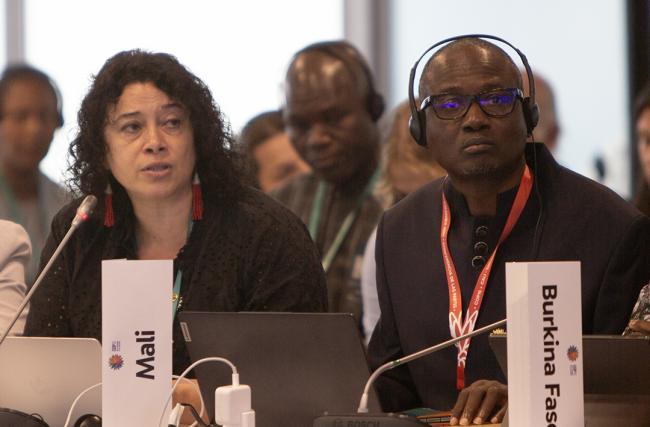 Elisa Morgera, UN Special Rapporteur on Climate Change and Human Rights- Synergies between biodiversity and climate change- 30 Oct 2024