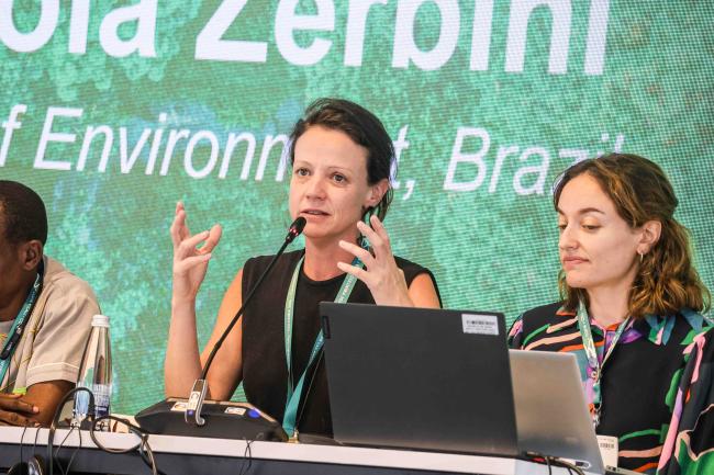 Fabiola Zerbini, Ministry of Environmentl, Brazil - Forest and Water -24oct24-photo
