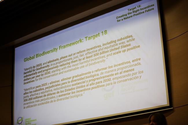 Framework Target 18 - Target 18 - 27October2024