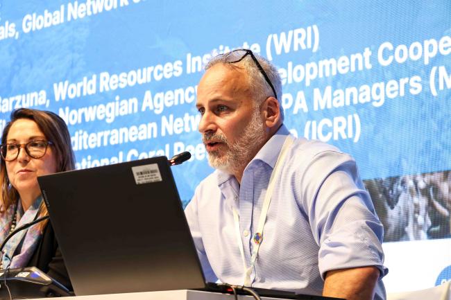 Francis Staub, International Coral Reef Initiative in Synergies Panel - Ocean Day -27oct24-photo