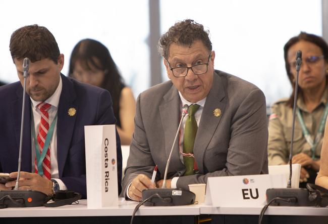 Franz Tattenbach, Minister of Environment and Energy, Costa Rica -Urgent Action for Implementation - 29 Oct 2024