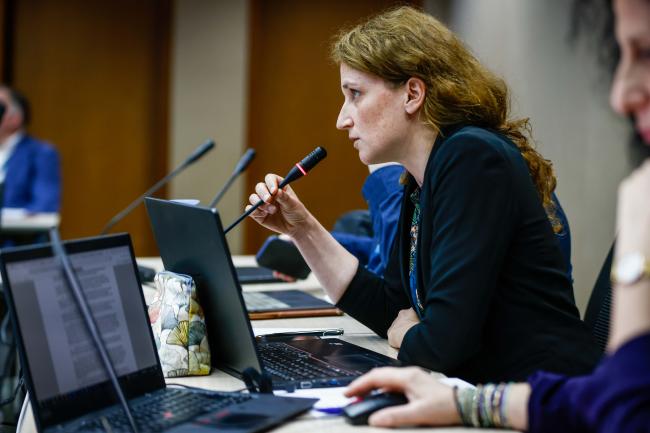 Heidi Stockhaus, Germany_montreal-protocal-ozone-mop36_30Oct2024_photo.jpg