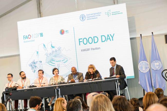 High level segment panel - Food Day -28oct24-photo