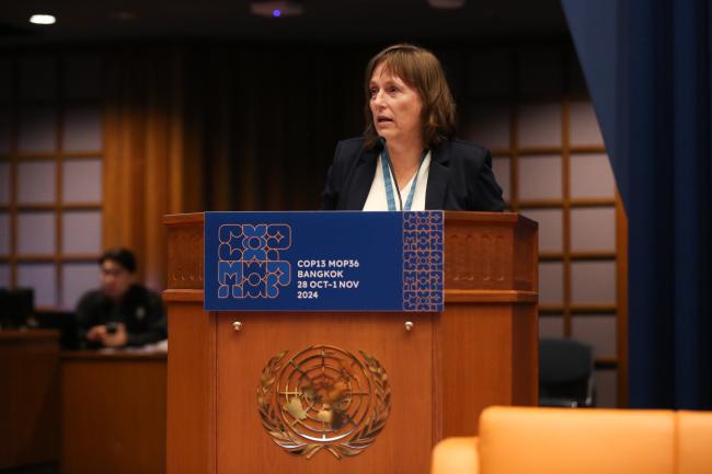 Hilda Dhont, TEAP Task Force_montreal-protocol-ozone-mop36_27Oct2024_photo.jpg