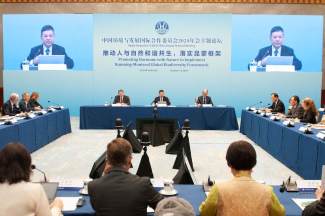 Huang Runqiu, CCICED Chinese Executive Vice Chairperson; Minister, Ministry of Ecology and Environment