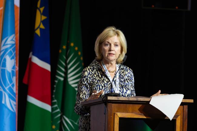 Loretta Hieber Girardet, Chief of Branch, UNDRR