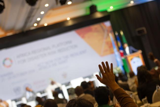 Hand raised in plenary