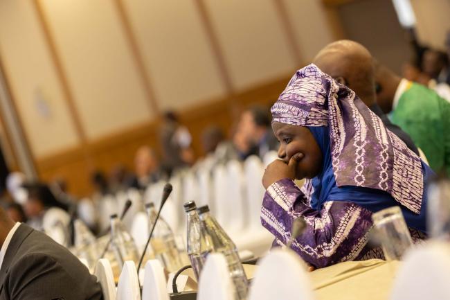 Delegate in plenary