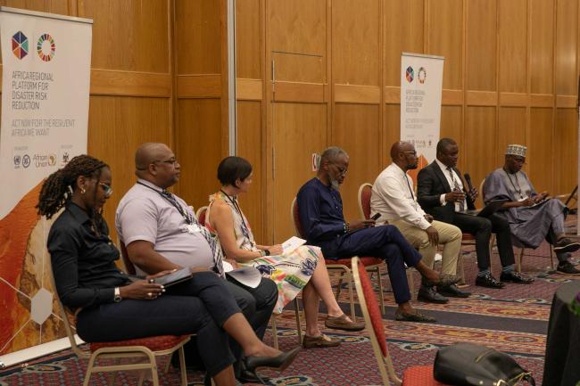 Panel speakers during the thematic session focused on the role of private business