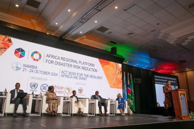 Panel speakers for the plenary session focused on reducing loss and damage