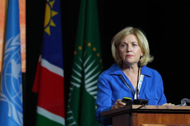 Loretta Hieber Girardet, Chief, Risk Knowledge, Monitoring and Capacity-Development Branch, UNDRR 