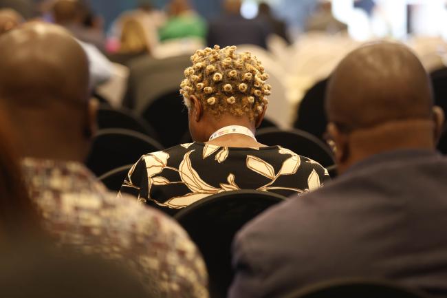 Delegates in plenary