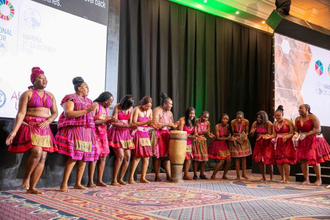 Traditional dancers perform at the start of the closing plenary