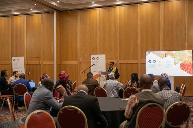 Delegates gather for the special session to launch the ARISE Africa Network