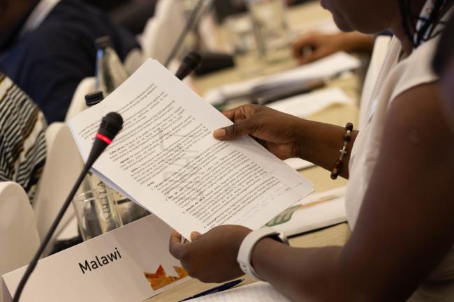 Delegates review the Windhoek Declaration