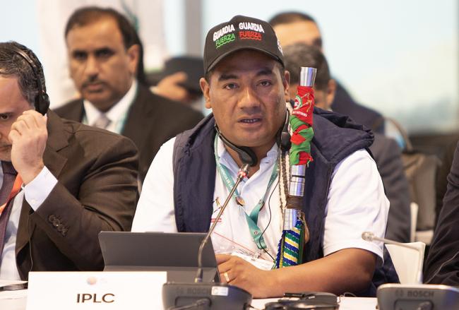 IPLC 1 - Synergies between biodiversity and climate change- 30 Oct 2024