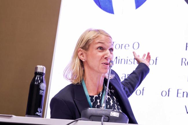 Ida Hellmark, Senior Advisor, NORAD - HLNBSAP-30oct24-photo