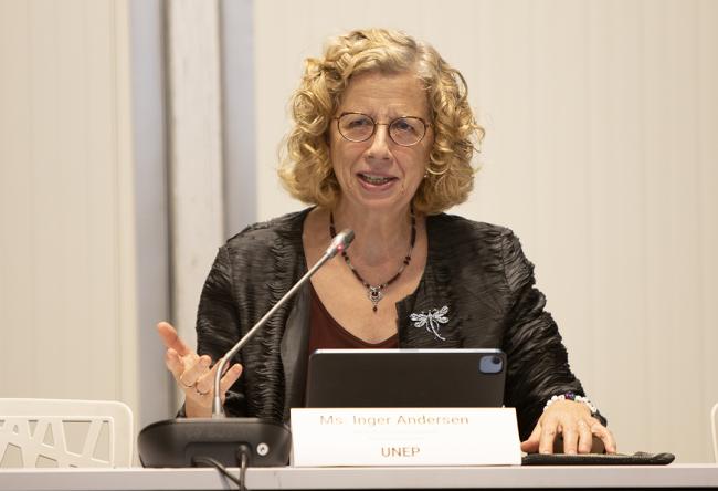 Inger Anderson, UNEP -EMG-28Oct2024