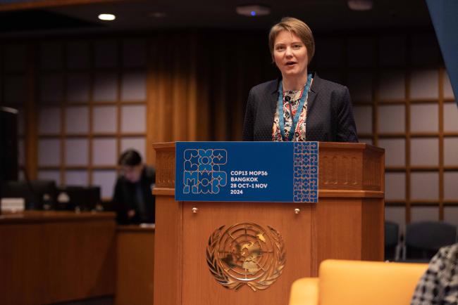 Irene Papst, Climate and Ozone Protection Alliance_montreal-protocol-ozone-mop36_27Oct2024_photo.jpg.jpg