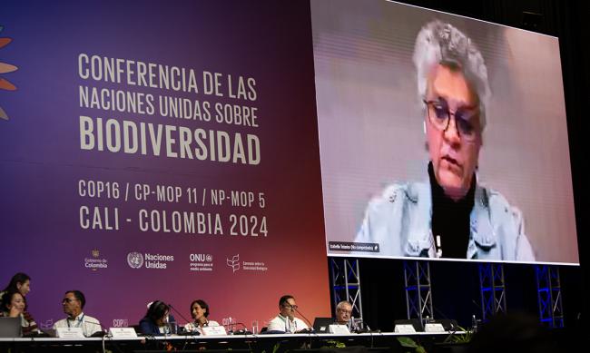 Isabella Texeira - Listening to the science - 25 Oct2024
