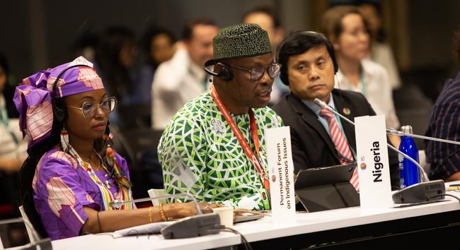 Iziaq Adekunle Salako, Minister of State for Environment, Nigeria - Financial System Reform - 29 Oct 2024