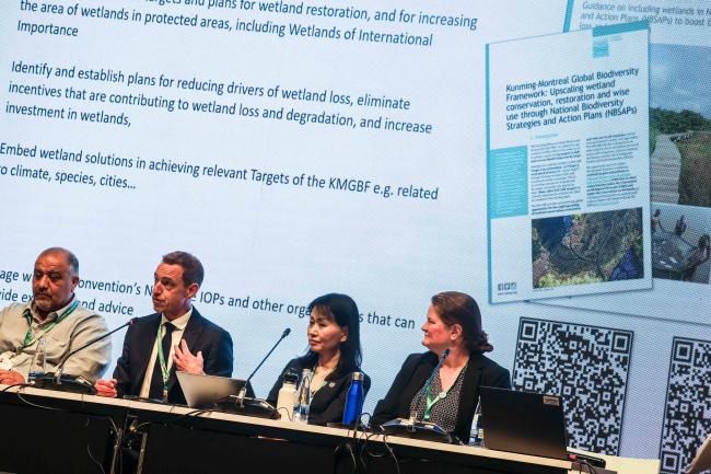 Jerker Tamelander, Secretariat of the Convention on Wetlands, introducing their report on upscaling wetland conservation, restoration and wise use through NBSAPs - Forest and Water -24oct24-photo