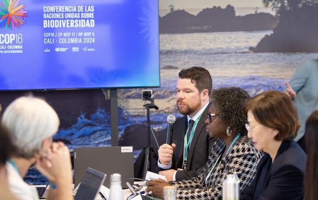 Joseph Appiott, CBD Secretariat - SOI Dialogue - 22 Oct2024