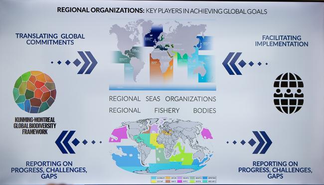 Key Players in Achieving Global Goals- 22 Oct2024