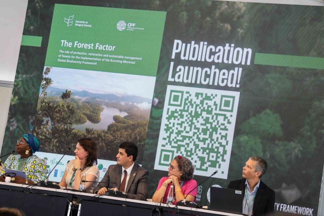 Launch of the Forest Factor Publication - Forest and Water -24oct24-photo