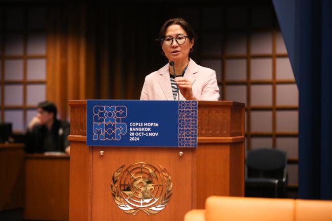 Liazzat Rabbiosi, Ozone Secretariat_montreal-protocol-ozone-mop36_27Oct2024_photo.jpg