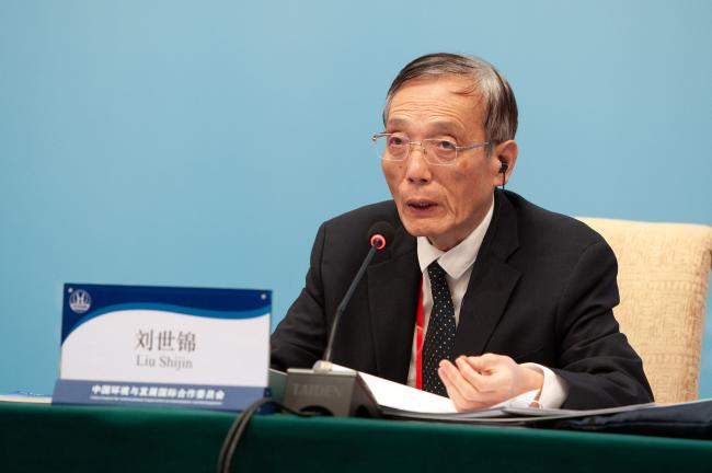 Liu Shijin, CCICED Chinese Chief Adviser and former Deputy President, Development Research Center of the State Council, China