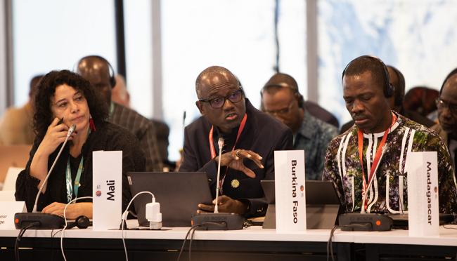 Mamadou Samake, Minister of the Environment, Sanitation and Sustainable, Mali - Synergies between biodiversity and climate change- 30 Oct 2024