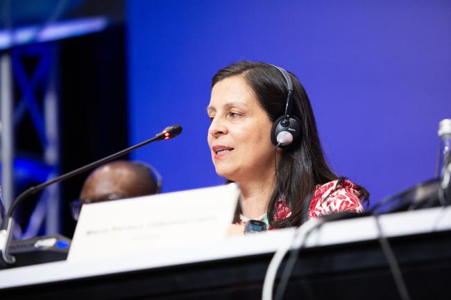 María Saralux Valbuena López, Director of Climate Change and Risk Management, Ministry of Environment and Sustainable Development, Colombia - Solutions for the Implementation of Synergies - 25 Oct2024