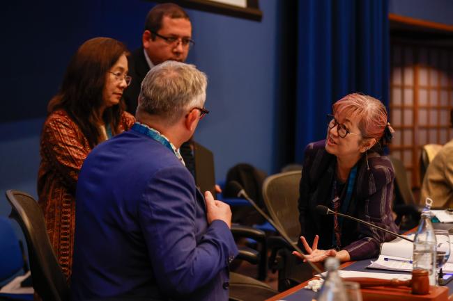 Megumi Seki, Executive Secretary, Ozone Secretariat, in discussion_montreal-protocal-ozone-mop36-photo.jpg