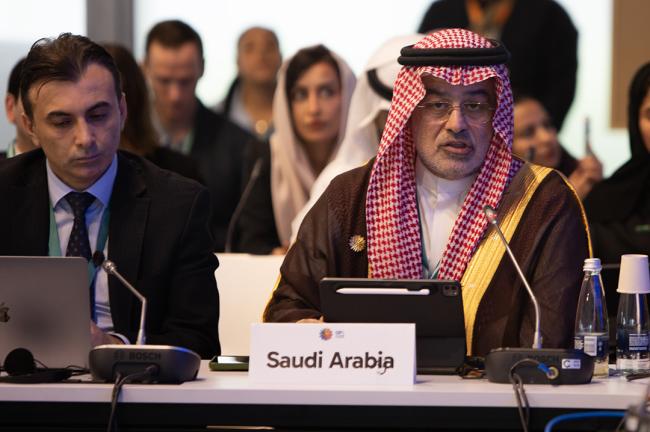 MohamedAli Qurban, CEO National Centre for Wildlife, Saudi Arabia- Synergies between biodiversity and climate change- 30 Oct 2024