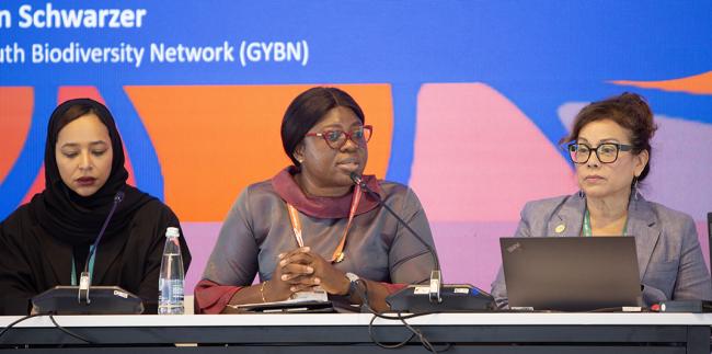 Ophelia Mensah Hayford, Minister of Environment, Science, Technology and Innovation, Ghana, - Cooperation Day - 31Oct2024