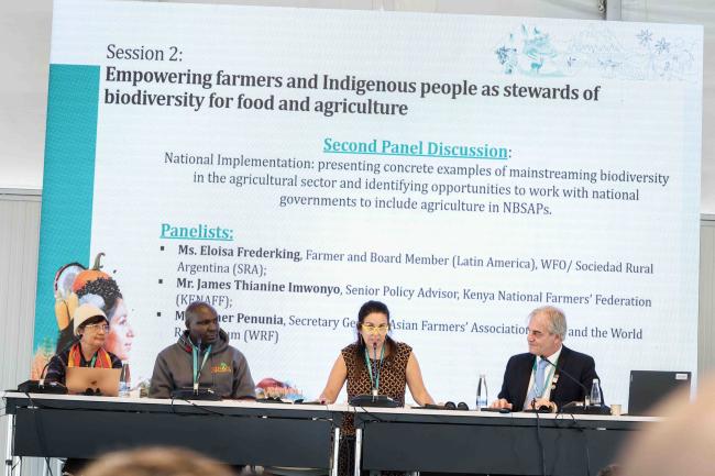 Panel on National Implementaiton - Food Day -28oct24-photo
