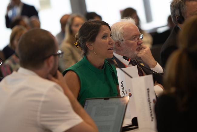Participant - Synergies between biodiversity and climate change- 30 Oct 2024