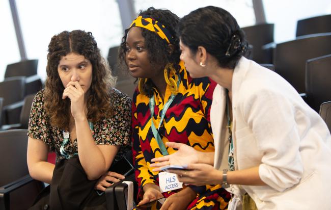 Participants 1 - Synergies between biodiversity and climate change - 29 Oct 2024