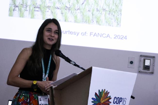 Paulina G. Karim, Forestry and Nature Conservation Agency (FANCA), Taiwan - Humboldt-31oct24-photo