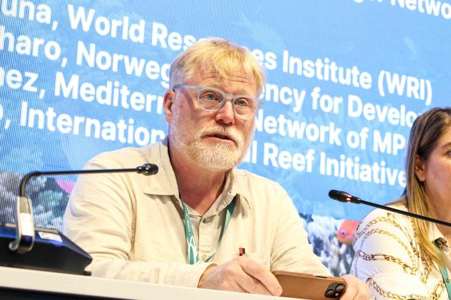 Per Fredrik Pharo, Norwegian Agency for Development Cooperation in Synergies Panel - Ocean Day -27oct24-photo