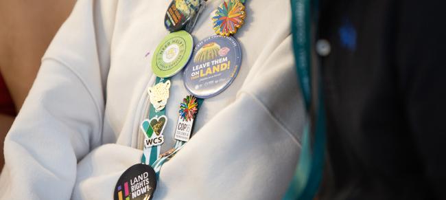 Pins - Cooperation Day - 31Oct2024