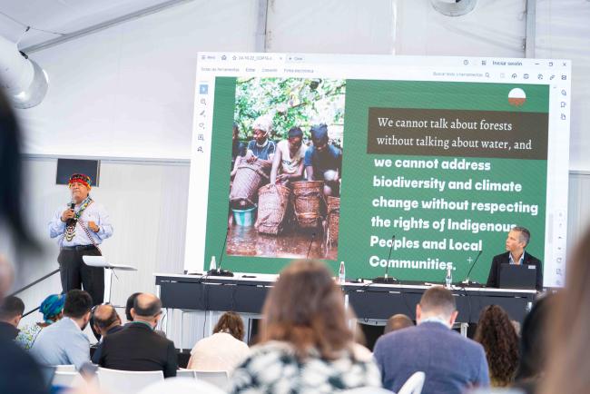 Presentation by Juan Carlos Jintiach, Global Alliance of Territorial Communities - Forest and Water -24oct24-photo