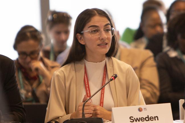 Romina Pourmokhtari, Minister for Climate and the Environment, Sweden-Urgent Action for Implementation - 29 Oct 2024