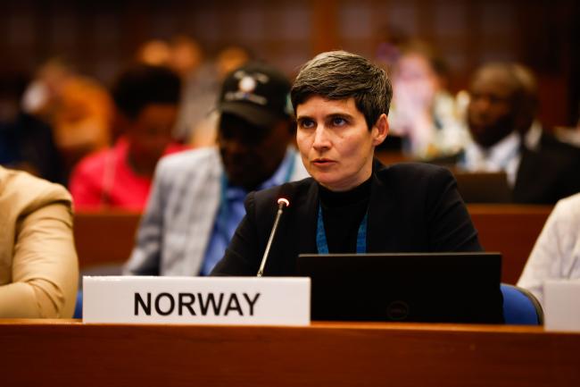 Sandrine Benard, Norway_montreal-protocal-ozone-mop36-photo.jpg