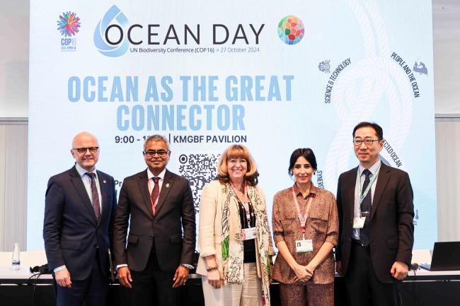 Some of the High Level Panelists - Ocean Day -27oct24-photo