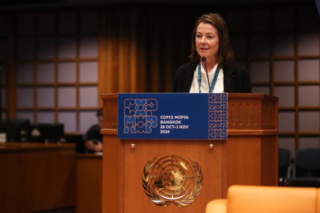 Stephanie Egger HaySmith, Ozone Secretariat_montreal-protocol-ozone-mop36_27Oct2024_photo.jpg