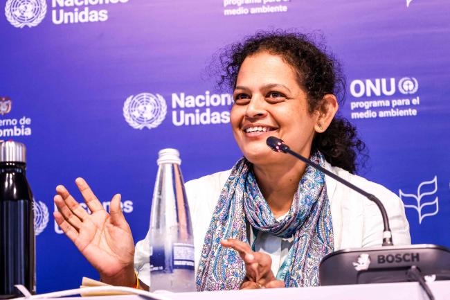 Suneetha Subramanian , Research Fellow UNU - IAS - COMDEKS -30oct24-photo